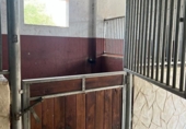 Casa de camp amb terreny en venda a la España, Vejer de la Frontera, ref.: TR149446 foto