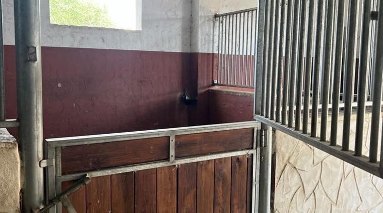 Cádiz - Vejer de la Frontera - 3300m2