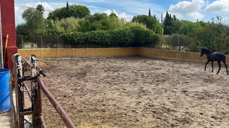 Cádiz - Vejer de la Frontera - 3300m2