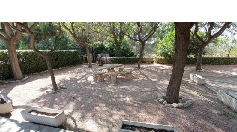 Alicante - Petrer - 10000m2