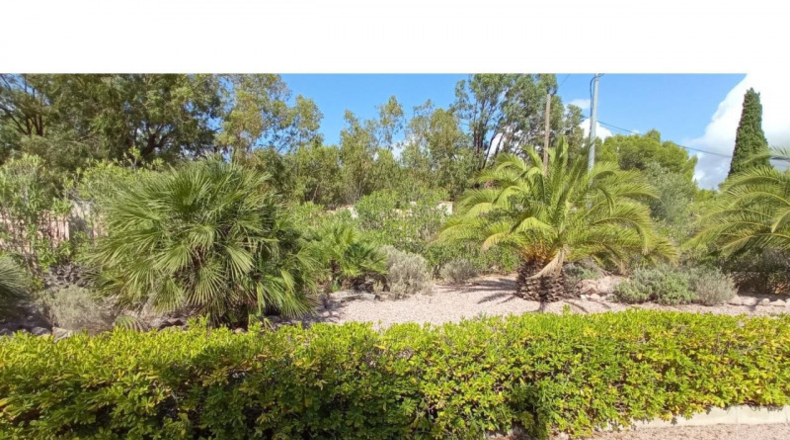 Alicante - Petrer - 10000m2