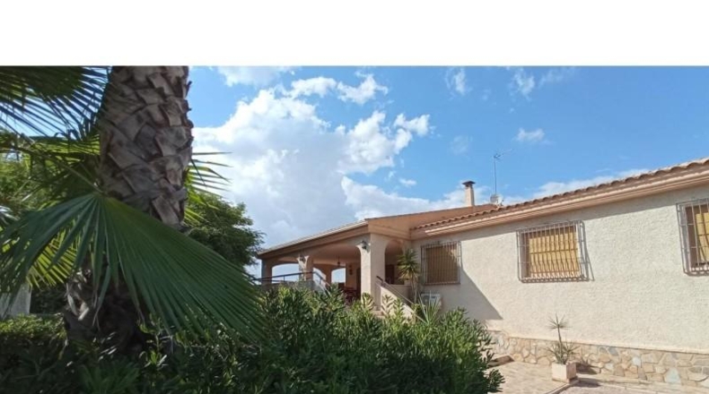 Alicante - Petrer - 10000m2