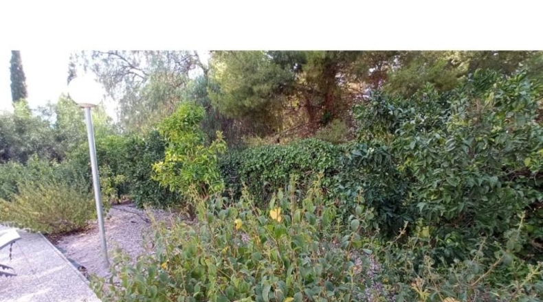 Alicante - Petrer - 10000m2