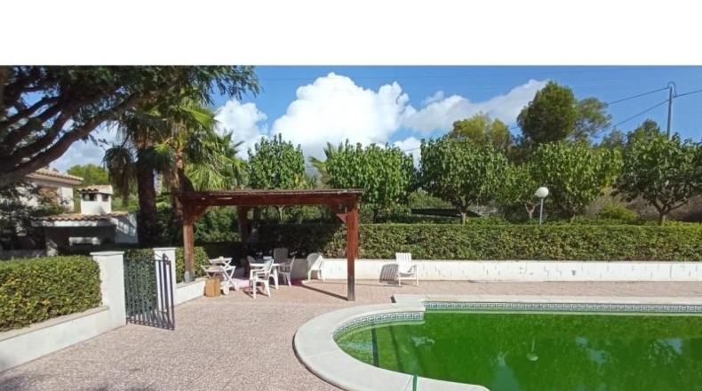 Alicante - Petrer - 10000m2
