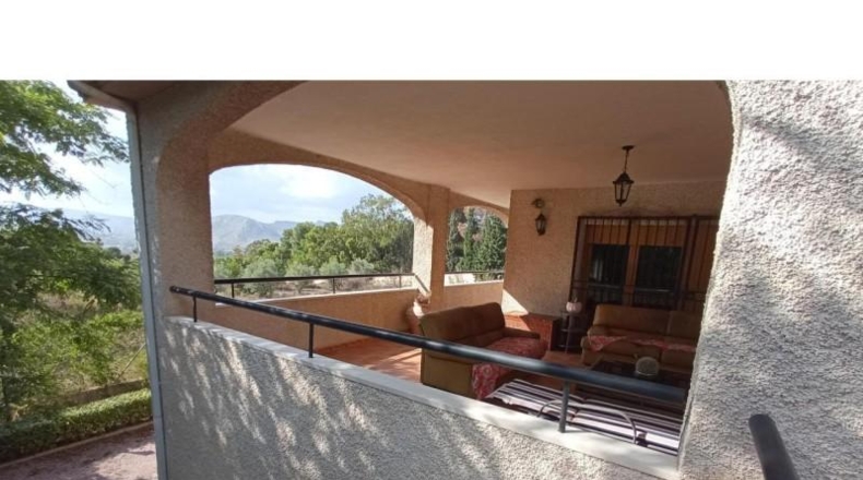 Alicante - Petrer - 10000m2