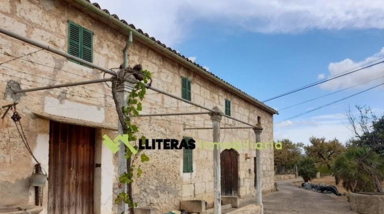 Islas Baleares - Selva - 8300m2