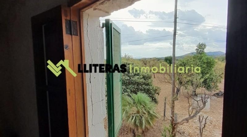 Islas Baleares - Selva - 8300m2