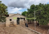 Chalet independiente con terreno en venta en la España, Selva, ref: TR141058 foto