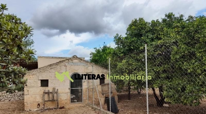 Islas Baleares - Selva - 8300m2