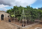 Chalet independiente con terreno en venta en la España, Selva, ref: TR141058 foto