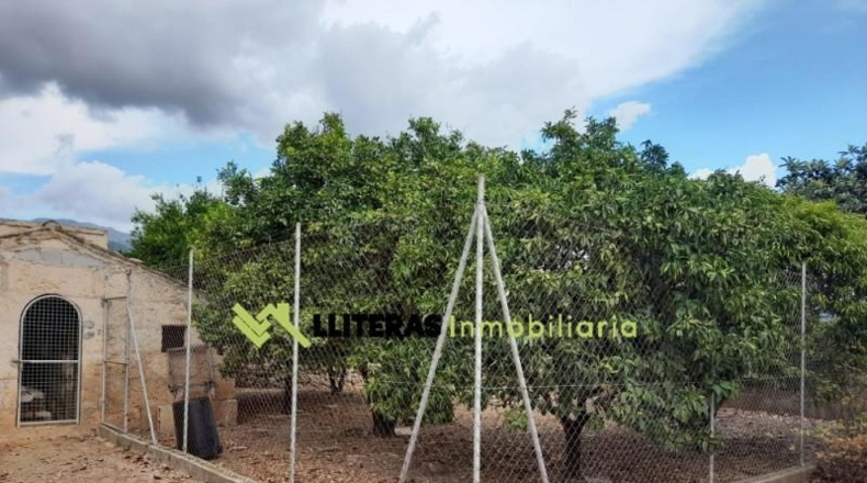 Islas Baleares - Selva - 8300m2