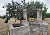 Chalet independiente con terreno en venta en la España, Selva, ref: TR141058 foto