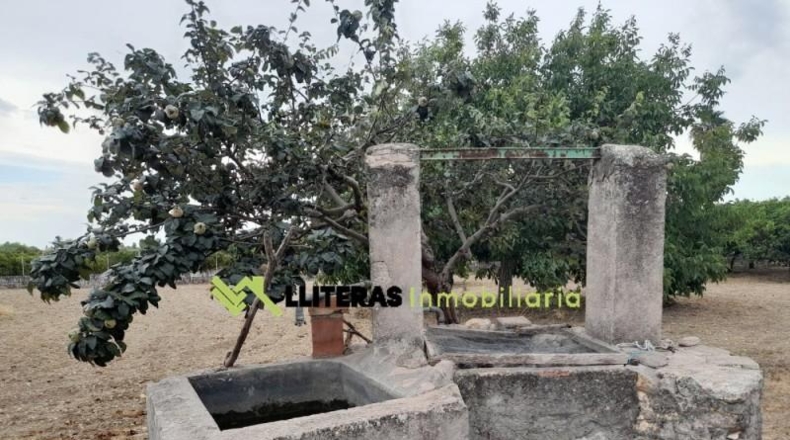 Islas Baleares - Selva - 8300m2