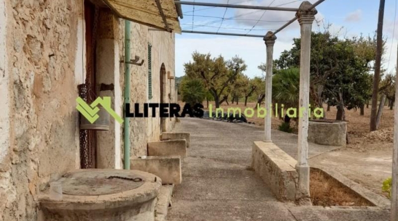 Islas Baleares - Selva - 8300m2