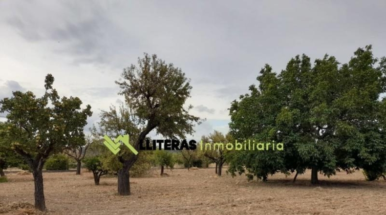 Islas Baleares - Selva - 8300m2