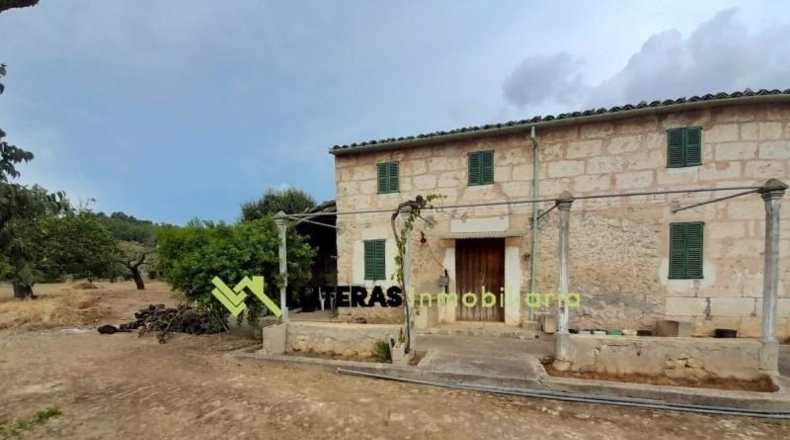 Islas Baleares - Selva - 8300m2