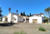 Xalet independent amb terreny en venda a la España, Elx, ref.: TR317791 foto