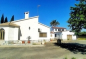 Xalet independent amb terreny en venda a la España, Elx, ref.: TR317791 foto