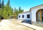 Xalet independent amb terreny en venda a la España, Elx, ref.: TR317791 foto