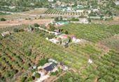 Xalet independent amb terreny en venda a la España, Dénia, ref.: TR247576 foto
