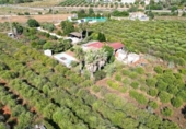 Xalet independent amb terreny en venda a la España, Dénia, ref.: TR247576 foto