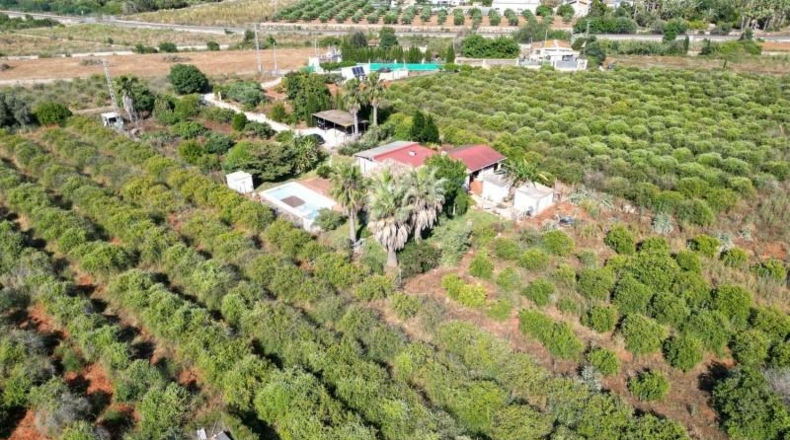 Alicante - Denia - 20000m2
