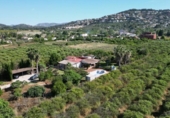 Xalet independent amb terreny en venda a la España, Dénia, ref.: TR247576 foto