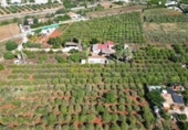 Xalet independent amb terreny en venda a la España, Dénia, ref.: TR247576 foto