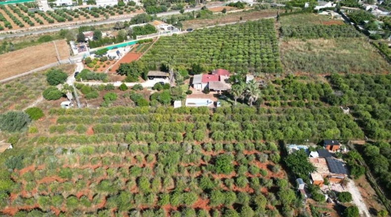 Alicante - Denia - 20000m2