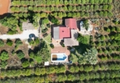 Xalet independent amb terreny en venda a la España, Dénia, ref.: TR247576 foto