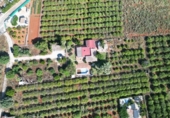 Xalet independent amb terreny en venda a la España, Dénia, ref.: TR247576 foto