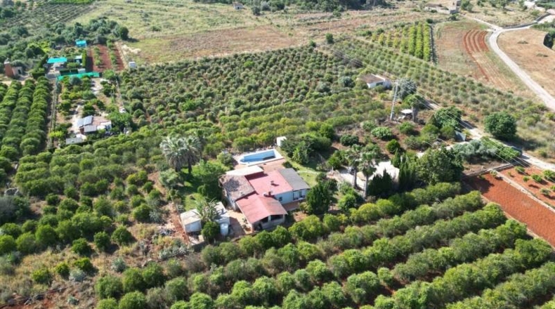 Alicante - Denia - 20000m2