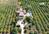 Xalet independent amb terreny en venda a la España, Dénia, ref.: TR247576 foto
