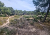 Terreny no urbanitzable en venda a la España, l'Alfàs del Pi, ref.: TR155247 foto