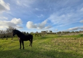 Отдельно стоящий дом с участком на продажу в городе Chiclana de la Frontera Фото