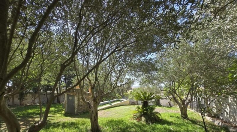 Cádiz - Chiclana de la Frontera - 8000m2