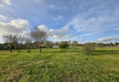 Отдельно стоящий дом с участком на продажу в городе Chiclana de la Frontera Фото
