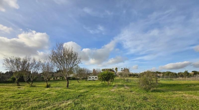 Cádiz - Chiclana de la Frontera - 8000m2