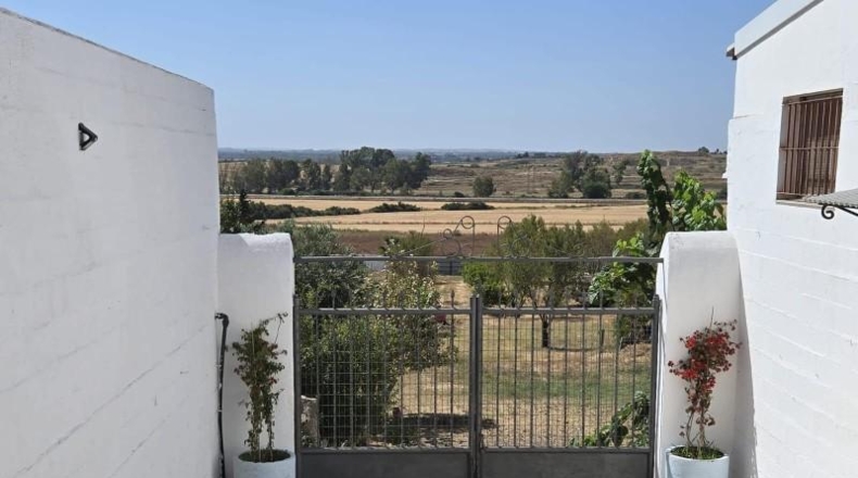 Cádiz - Chiclana de la Frontera - 8000m2