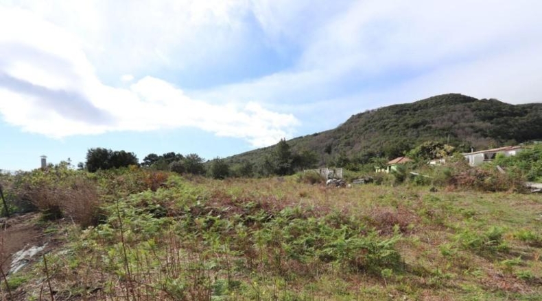 Santa Cruz de Tenerife - San Pedro de Breña Alta - 3099m2