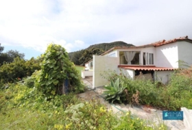 San Pedro de Breña Alta 3099&nbsp;m² 