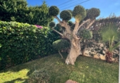 Chalet independiente con terreno en venta en la España, Calafell, ref: TR175429 foto