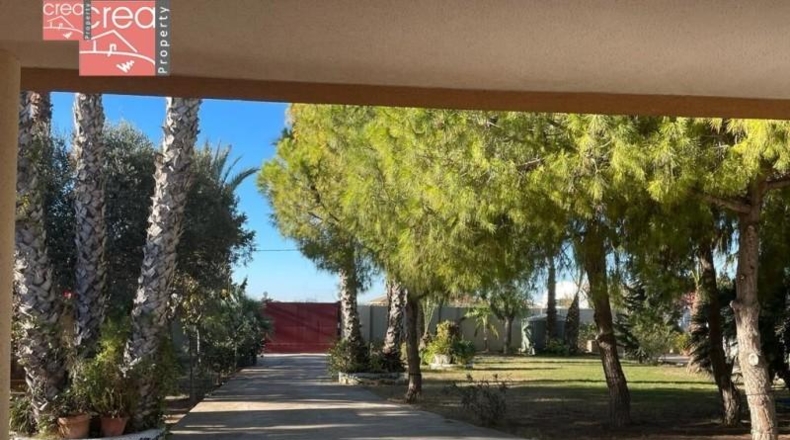 Murcia - Los Alcázares - 5800m2
