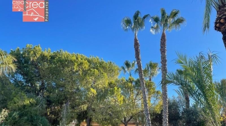 Murcia - Los Alcázares - 5800m2