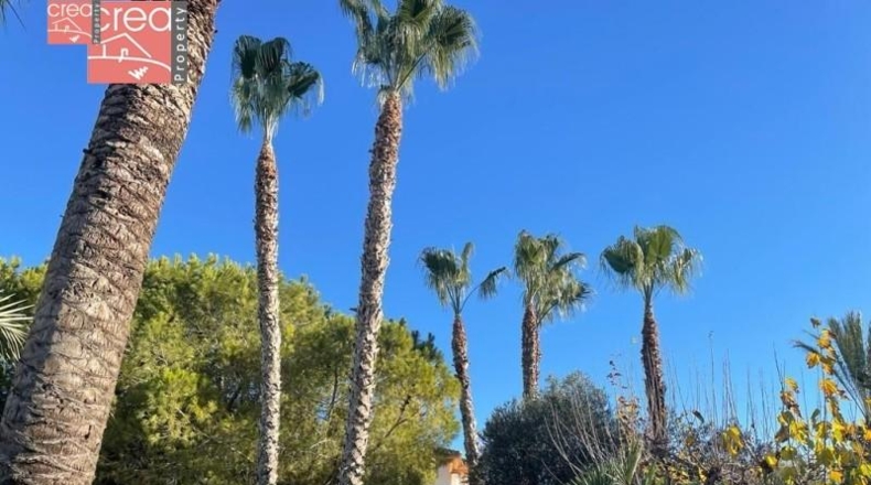 Murcia - Los Alcázares - 5800m2
