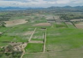 House with land for sale on España, Manacor, ref: TR300838 photo