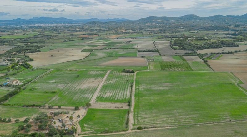 Islas Baleares - Manacor - 63752m2