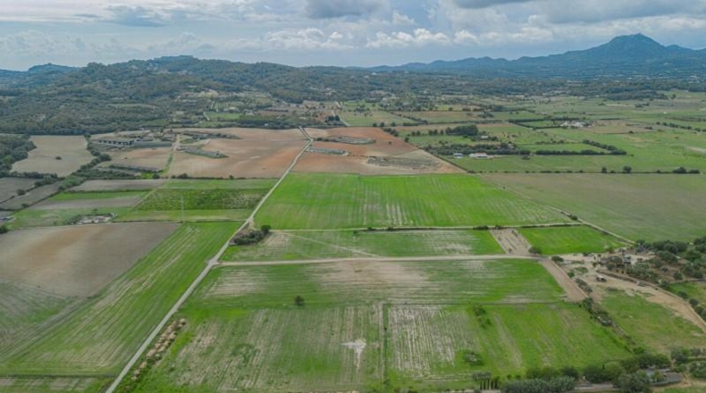 Islas Baleares - Manacor - 63752m2