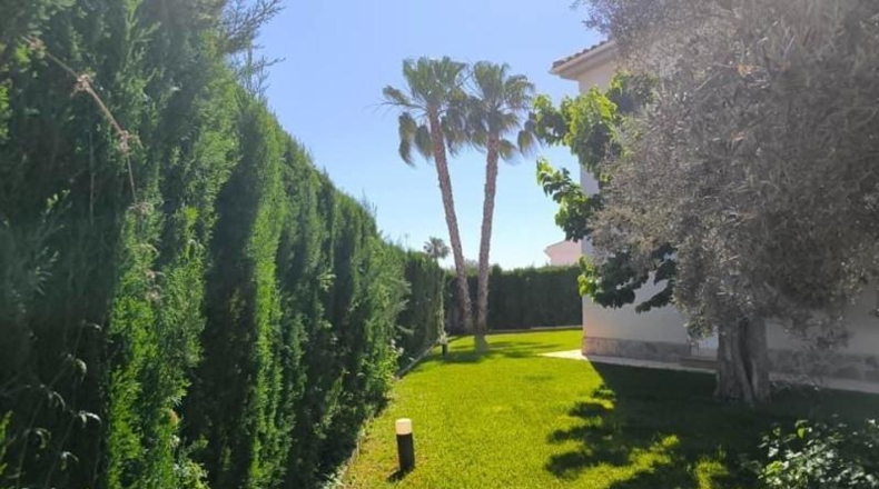 Alicante - Torrevieja - 1100m2