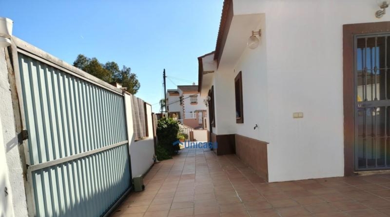 Malaga - Málaga - 264m2